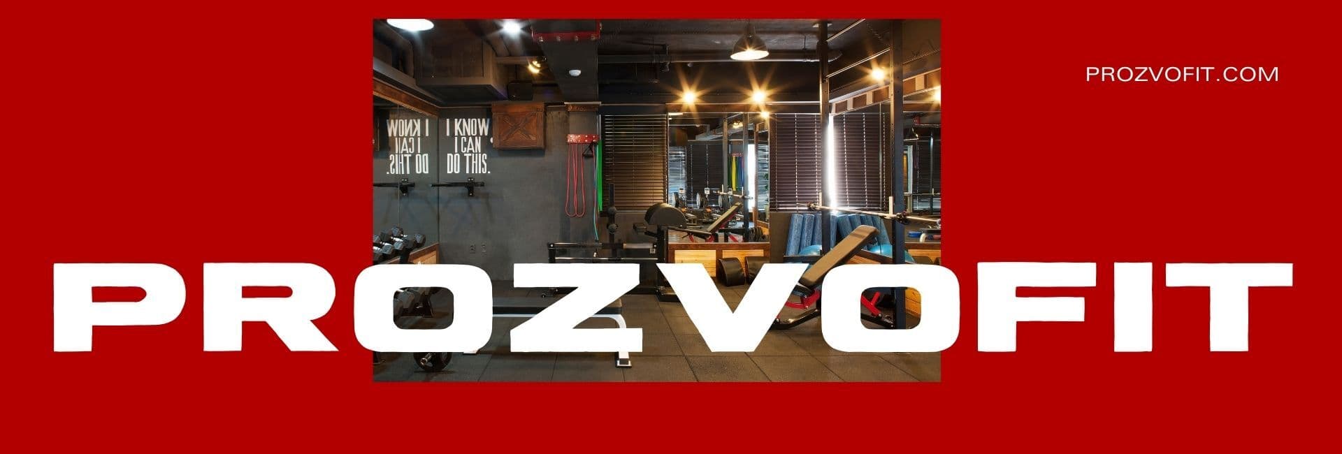 Prozvofit - Desktop